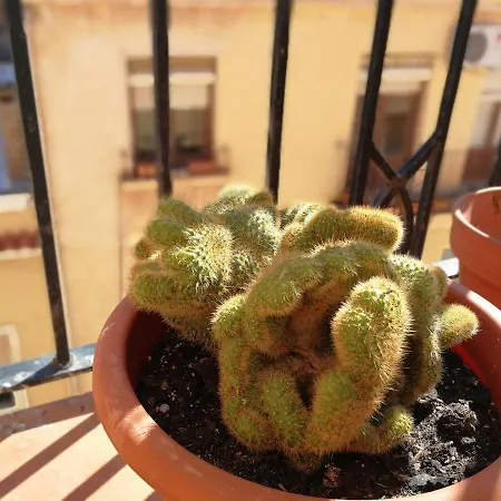 Апартаменты Lovely Two-floor Rooftop With Terrace Аликанте